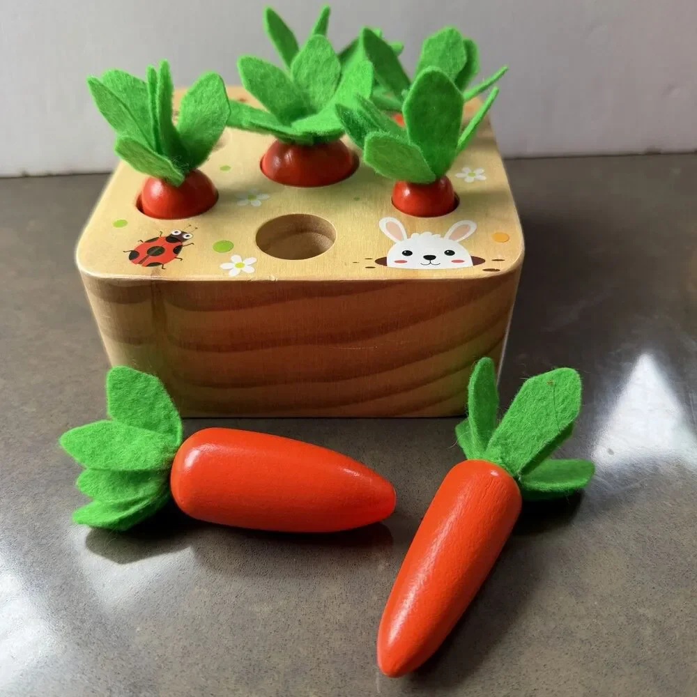 Goryeo Baby Montessori Wooden 3D Carrot Size Match Puzzle Easter Fun Play Learn